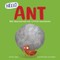 Hello Ant