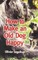 How to Make an Old Dog Happy