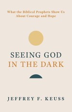Seeing God in the Dark