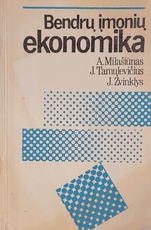 Bendrų įmonių ekonomika