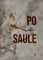 Po saule