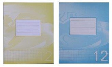 Sąsiuvinis 12 lapų langeliais