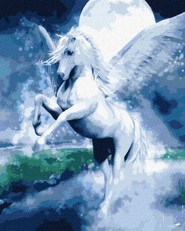 Tapyba pagal skaičius: PASAKIŠKAS PEGASAS 40x50 dėžutėje