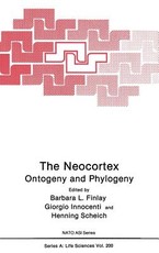The Neocortex
