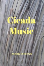 Cicada Music