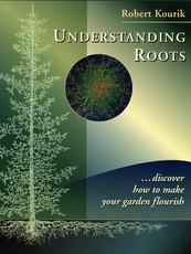 Understanding Roots