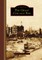 The Great Chicago Fire