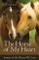 Horse of My Heart