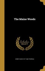 MAINE WOODS