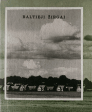 Baltieji žirgai