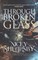 Through Broken Glass (The Flanigan Files, #3)