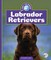 Labrador Retrievers