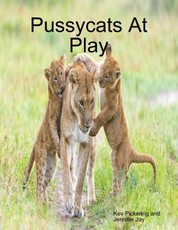 Pussycats At Play
