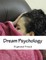 Dream Psychology