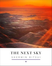 The Next Sky