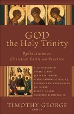 God the Holy Trinity (Beeson Divinity Studies)