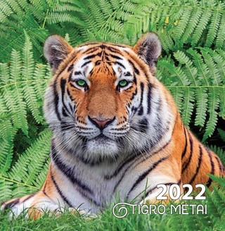 2022 m. sieninis kalendorius Tigro metai (20 x 20 cm)