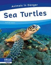 Sea Turtles