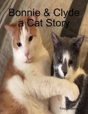 Bonnie & Clyde a Cat Story