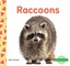 Raccoons