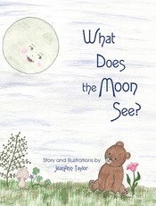 What Does the Moon See?
