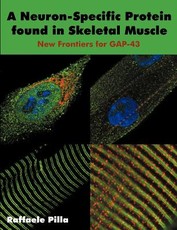 A Neuron-Specific Protein found in Skeletal Muscle