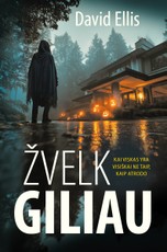 Knygos.lt blitz kaina