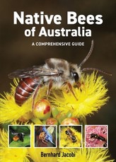 Native Bees of Australia