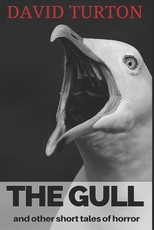 The Gull