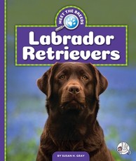 Labrador Retrievers