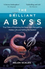 Brilliant Abyss