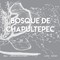 Bosque de Chapultepec