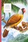 Atlas of Extinct Animals