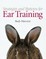 Strategies and Patterns for Ear Training