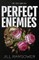 Perfect Enemies