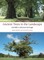 Ancient Trees in the Landscape