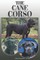 The Cane Corso