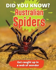 Did You Know? Australian Spiders