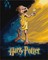 Tapyba pagal skaičius: „HARIS POTERIS“ Dobby plakatas Warner Bros 40x50 dėžutėje