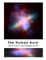 The Human Aura