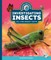 Investigating Insects