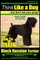 Black Russian Terrier, Black Russian Terrier Training AAA Akc