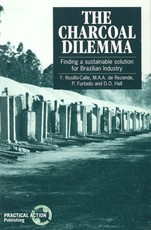 The Charcoal Dilemma