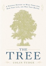 The Tree