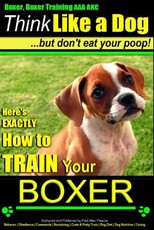 Boxer, Boxer Training AAA Akc