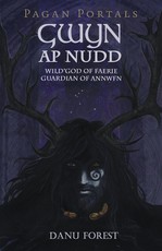 Pagan Portals - Gwyn AP Nudd