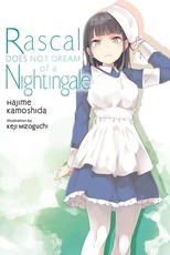 Rascal Does Not Dream, Vol. 11 (Light Novel)