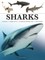 Sharks