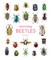 Interesting Beetles
