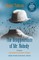 The Disappearance of Mr. Nobody